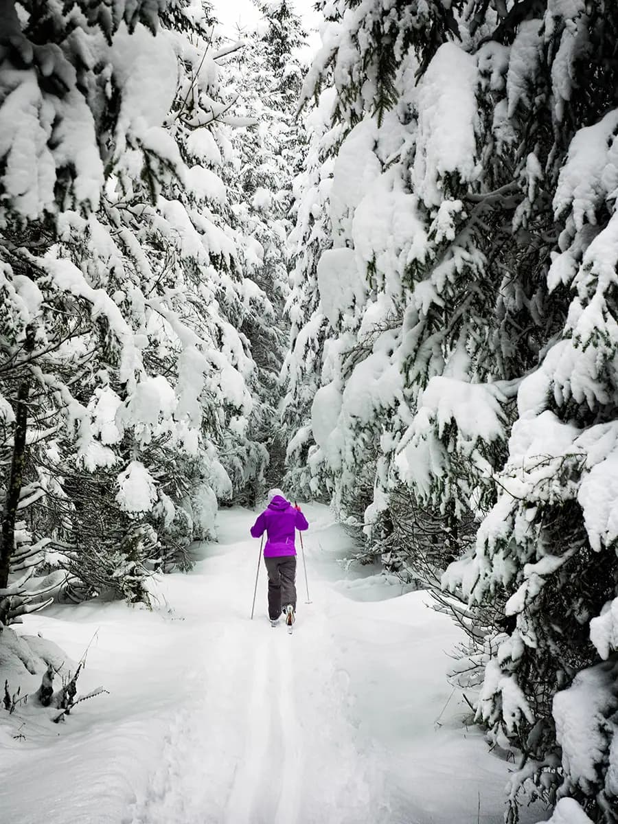 Nordic Skiing
