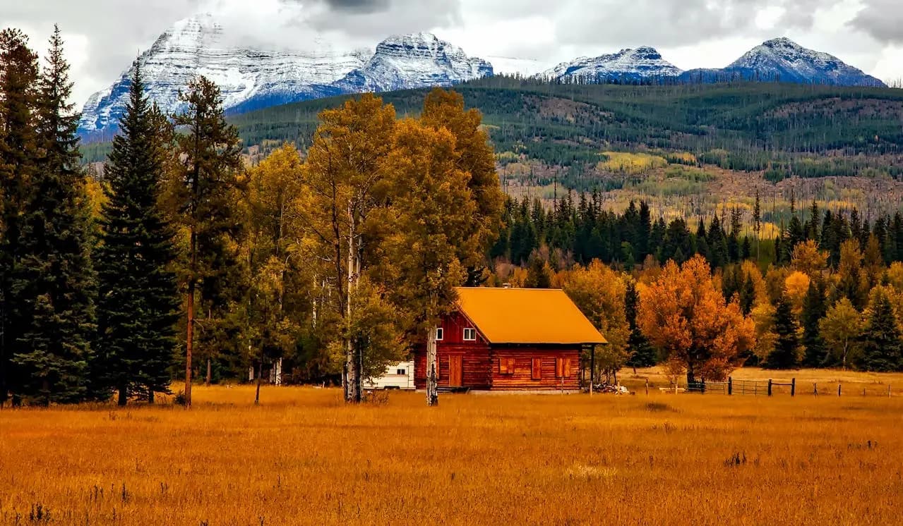 Golden aspen trees in a Colorado mountain valley in autumn