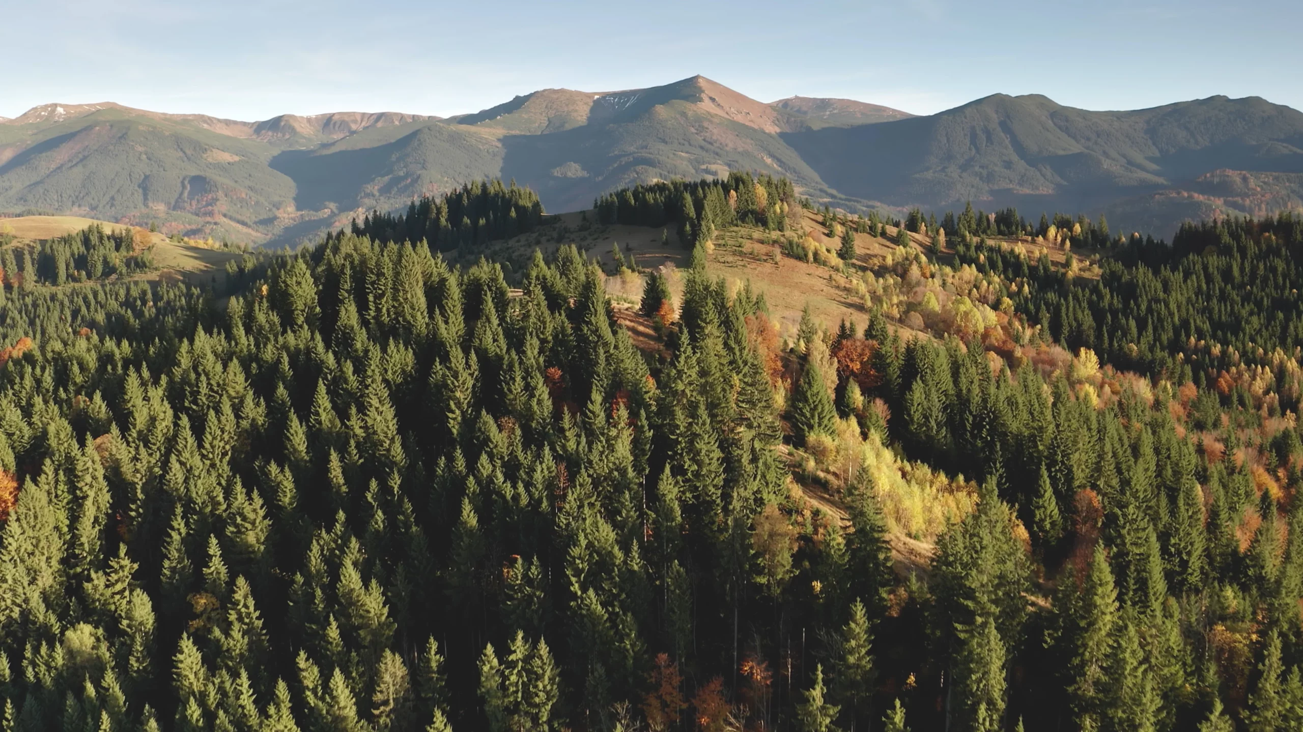 Celebrate National Public Lands Day in the Heart of Winter Park