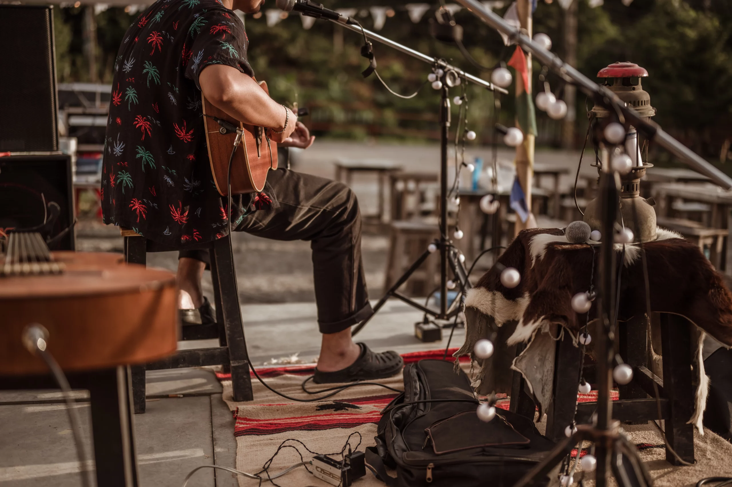 Picnic in the Park: Summer Nights, Live Music, and Mountain Vibes in Fraser
