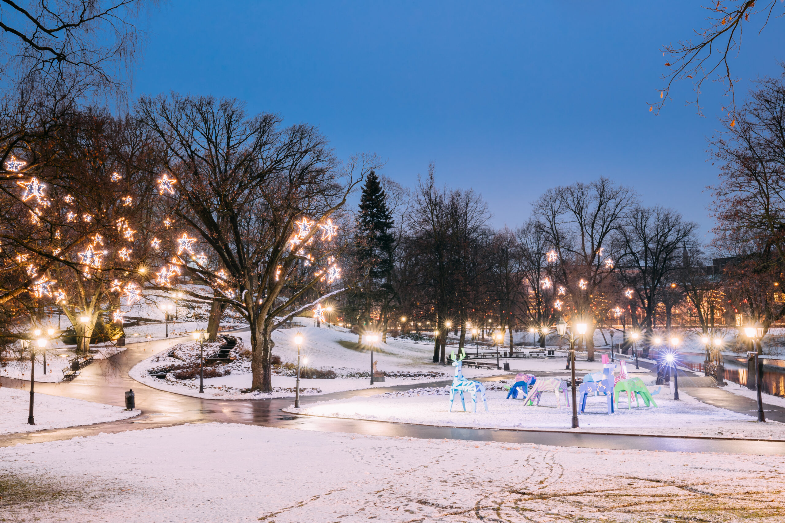 Ring In the New Year: Celebrate 2025 in Winter Park Style