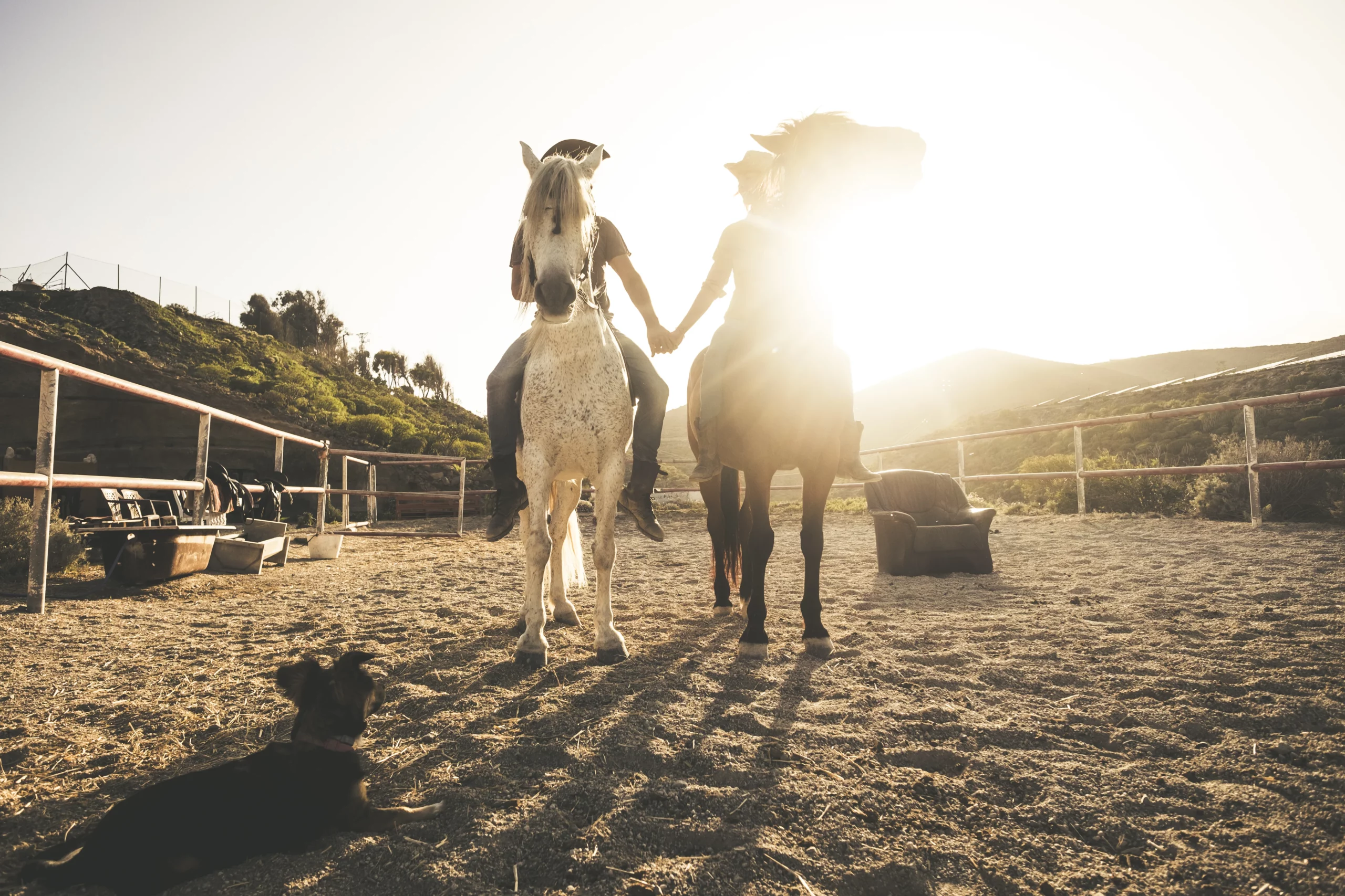 Saddle Up for Sponsor Appreciation Night at the High Country Stampede Rodeo