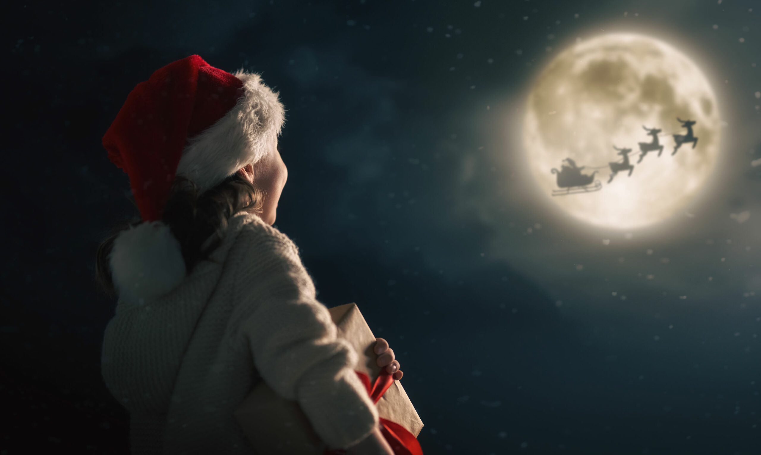 Where Santa’s Reindeer Meet the Night Sky Light Show